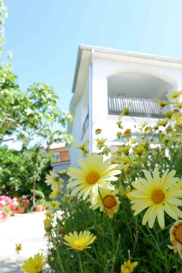 Apartment Ponos 크르크 외부 사진